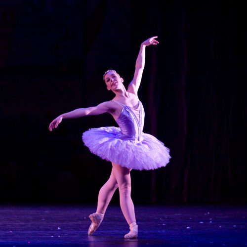 Ballet para adultos – entrevista com Daniela Dálio