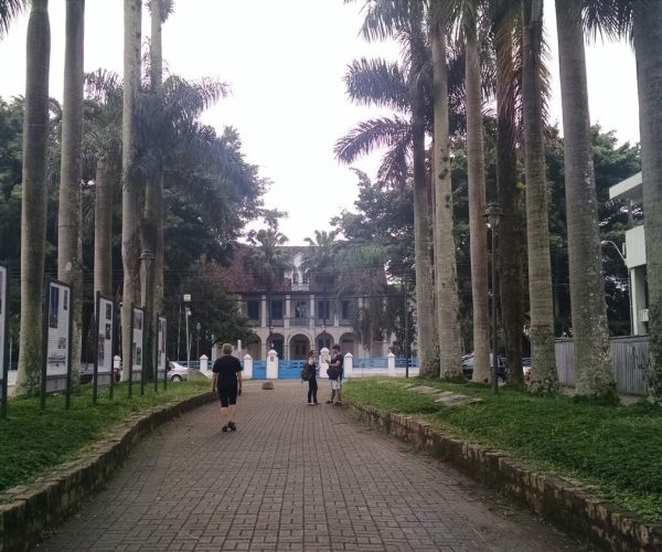 Fique por dentro do que fazer enquanto estiver em Joinville