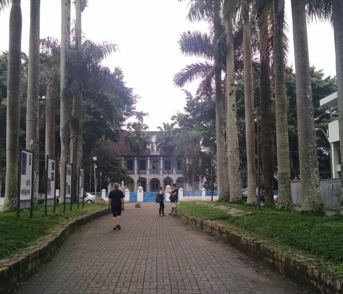 Fique por dentro do que fazer enquanto estiver em Joinville