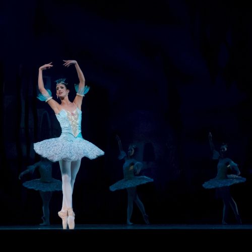 O que você precisa saber sobre o ballet russo