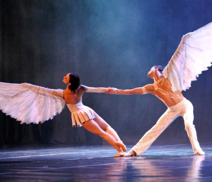 Conheça os tipos de bailarinas para se profissionalizar