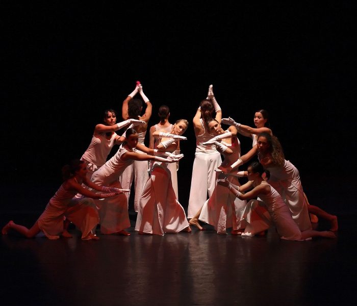 O que você precisa saber sobre o estilo chamado ballet de ação?