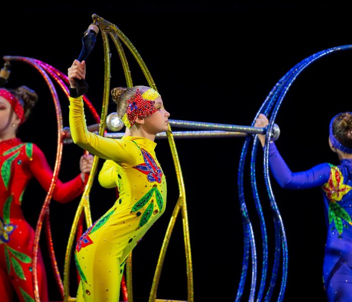 Confira 5 ideias de temas para apresentação de ballet